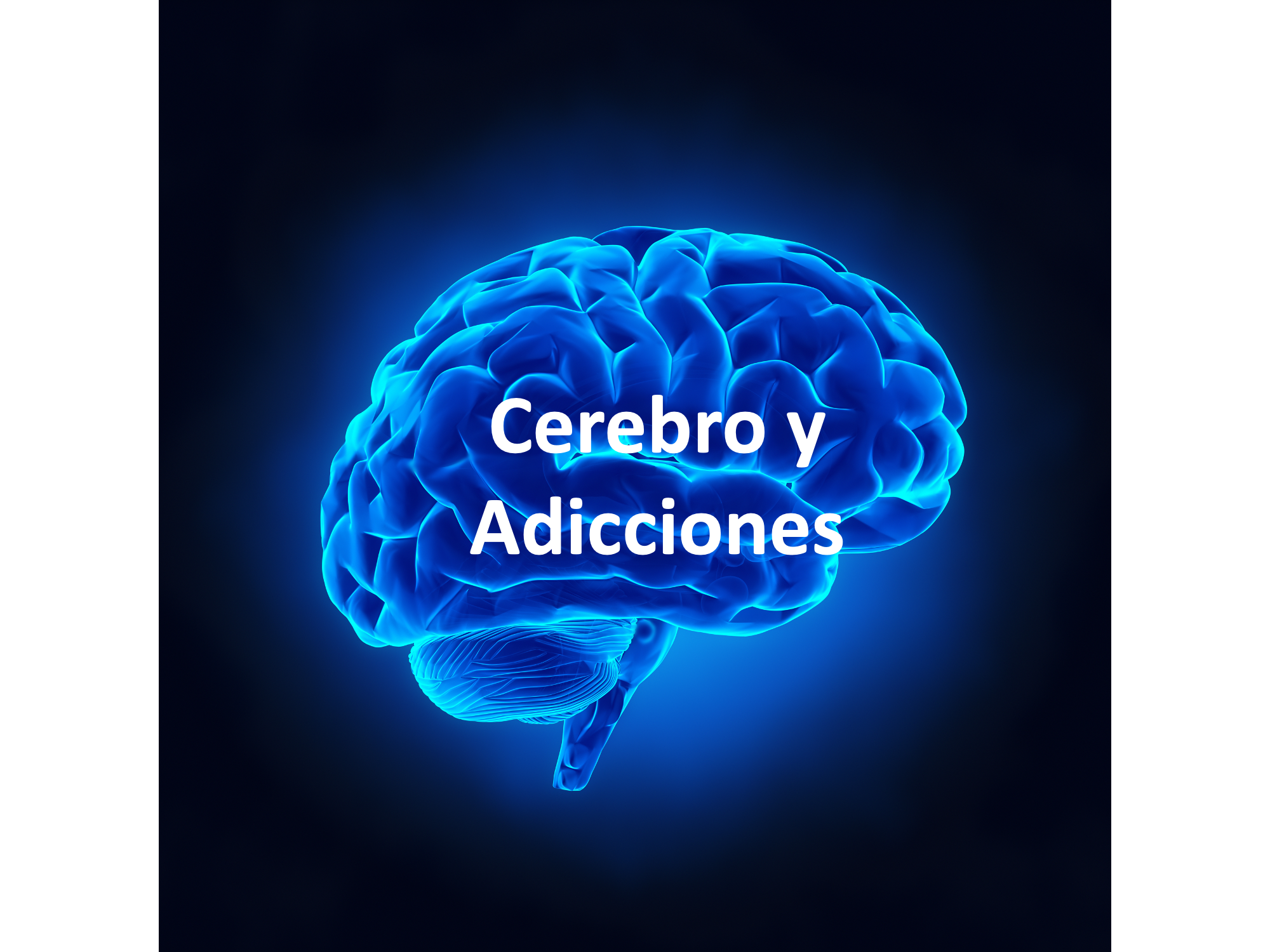 Cerebro y adicciones
